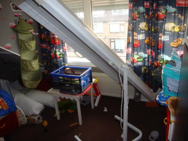 DSC01680.jpg