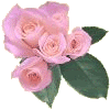 rose033a.gif picture by Amapola_album