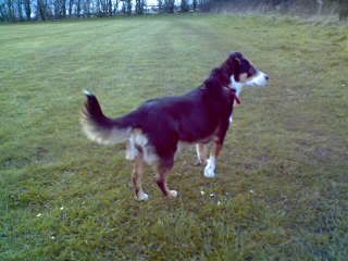 Picture0125.jpg