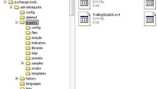 Vterminal forex