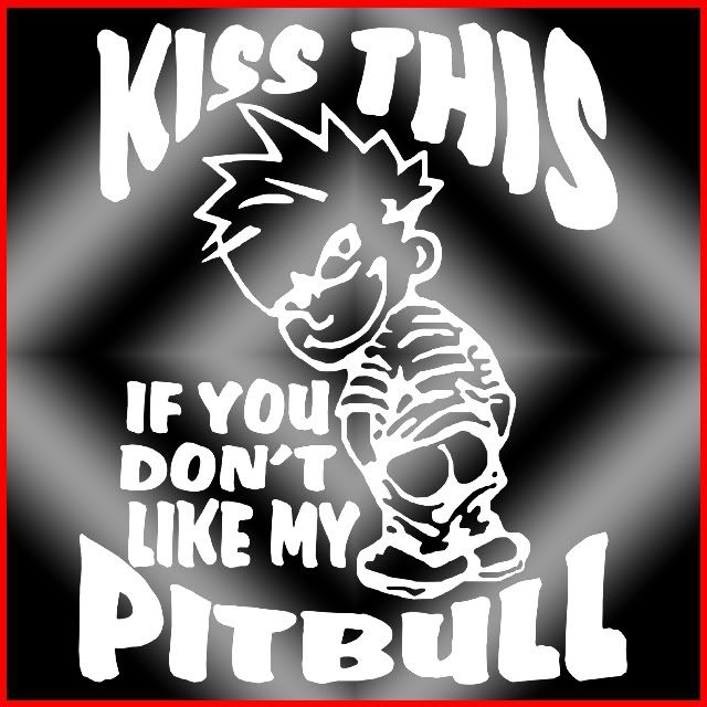 pitbull.jpg