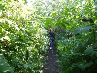 elke on a bear trail at kincaid