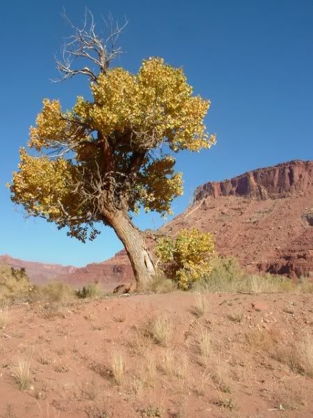 MoabTrip040.jpg