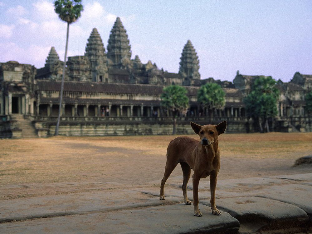 cambodia19_zpsf69b7199.jpg
