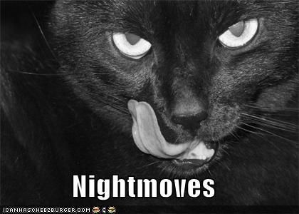 Nightmoves