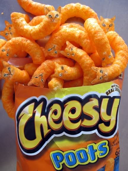 cheesy poofs