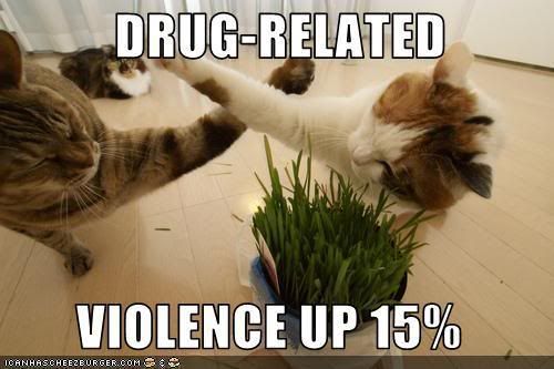 Violence up photo Drugrelatedviolance.jpg