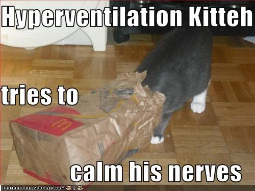 hyperventilation kittty