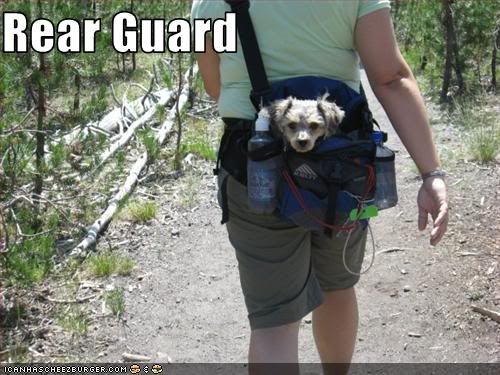 Rear guard