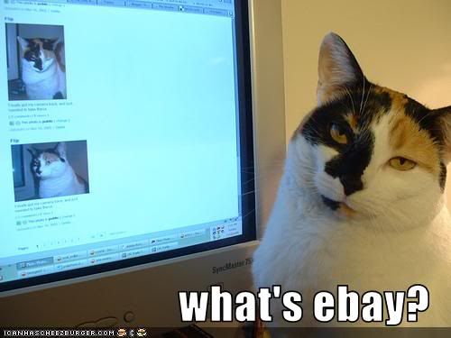 what's ebay photo Whatsebay.jpg