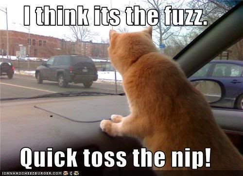 It's the fuzz