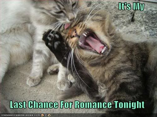 Last Chance For Romance
