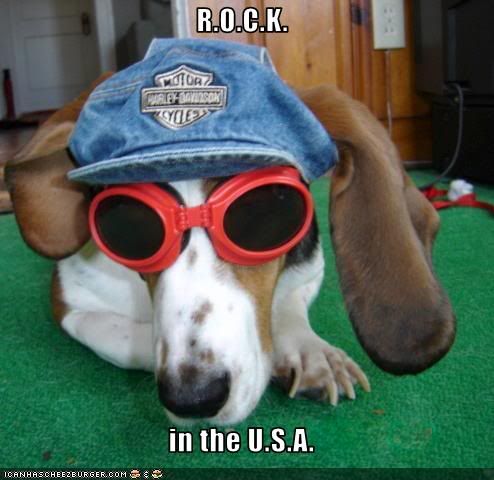 Rock in the USA photo RockintheUSA.jpg