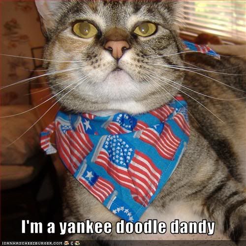 I'm a yankee doodle dandy photo Yankeedoodledandy.jpg