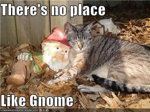  photo catgnome.jpg