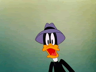 daffy gif