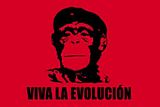 evolucion