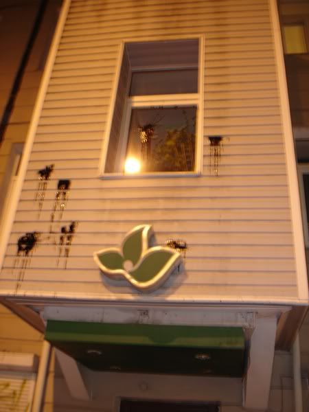 Эркер на доме Вахмистрова стал пятнистым (фото)