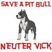 pitbull.jpg pitbull image by stickman_019