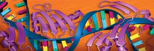 dna photo: DNA Illustration Corning-DNA.jpg
