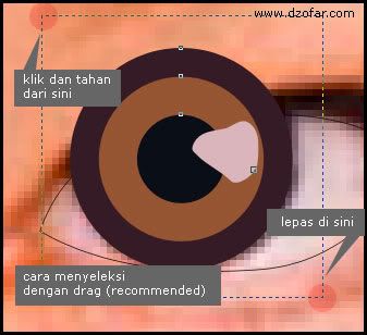 seleksi bola mata