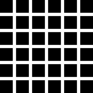 232Px-Hermann Grid Illusion.Svg