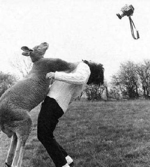 Always Respect Nature (19 pics)