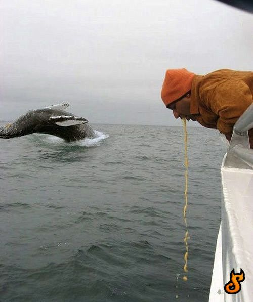 How to Spoil a Photo