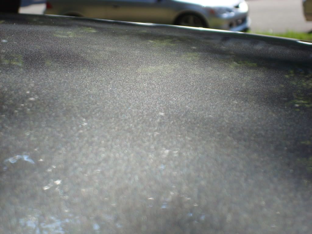 AugustDetailing046.jpg