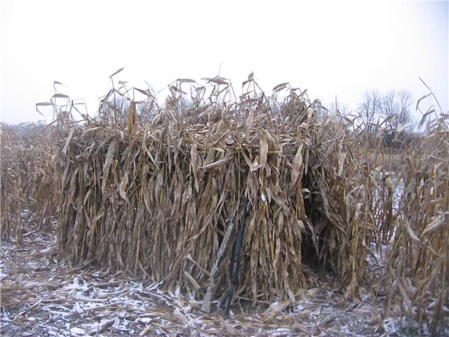 Duck Hunting Blinds Duck Hunting Blinds