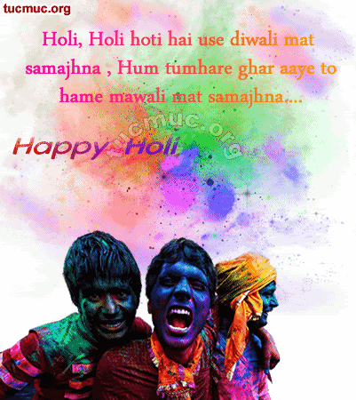 Funny Holi Comments 