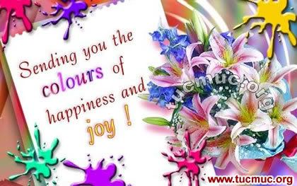 Happy Holi Comments 
