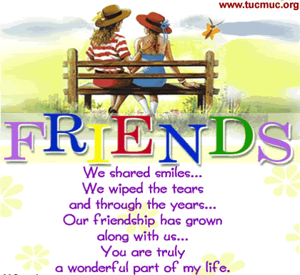 Friends forever  Image - 4