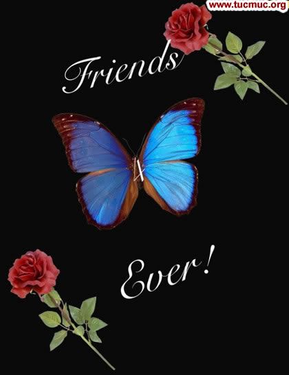 Friends Forever Greetings 