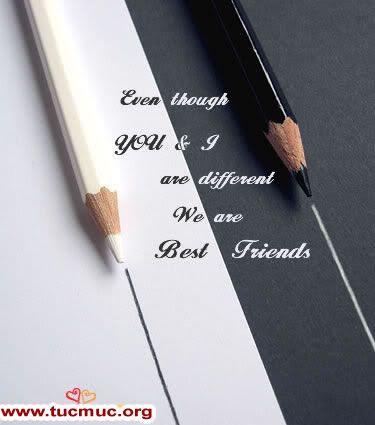 Friends forever  Image - 3