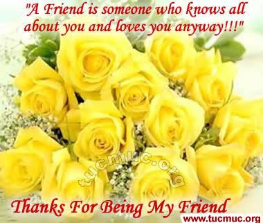 Images for emails & social networking sites & forums .. Roses are the flowers to represent friendship, love, beauty and romance