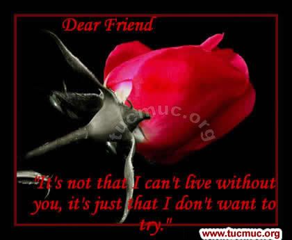 Images for emails & social networking sites & forums .. Roses are the flowers to represent friendship, love, beauty and romance