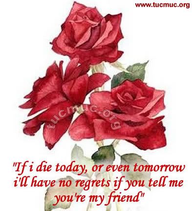 Images for emails & social networking sites & forums .. Roses are the flowers to represent friendship, love, beauty and romance