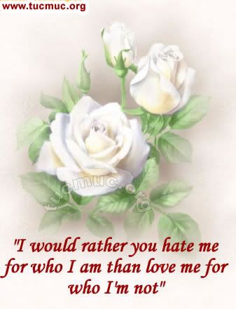 Images for emails & social networking sites & forums .. Roses are the flowers to represent friendship, love, beauty and romance