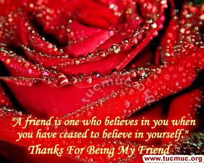 Images for emails & social networking sites & forums .. Roses are the flowers to represent friendship, love, beauty and romance