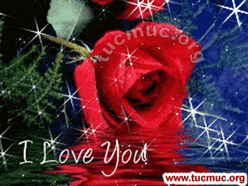 Images for emails & social networking sites & forums .. Roses are the flowers to represent friendship, love, beauty and romance