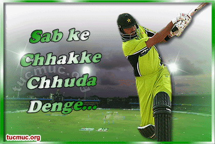 Pakistan Cricket Comments 