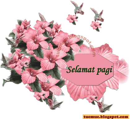 Malay Comments  Image - 4