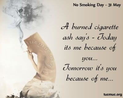 Essay on no smoking