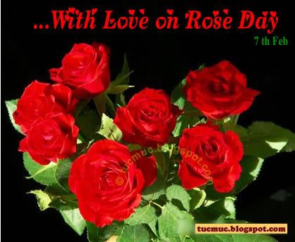 Happy Rose Day Comments 