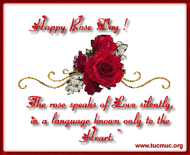 Happy Rose Day Images 