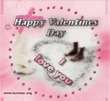 Valentine Day Pictures 