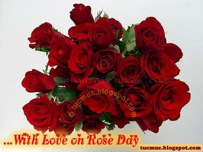Rose Day Image Scraps comment 4 Orkut, friendster, hi5