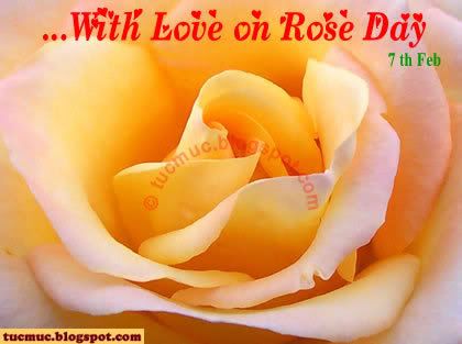 Rose Day Image Scraps comment 4 Orkut, friendster, hi5
