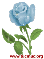 Animated Images of beautiful flowers for girl friends to show Love, care warmth Heart for Orkut scraps, Myspace comments yahoo mash Emails and sms